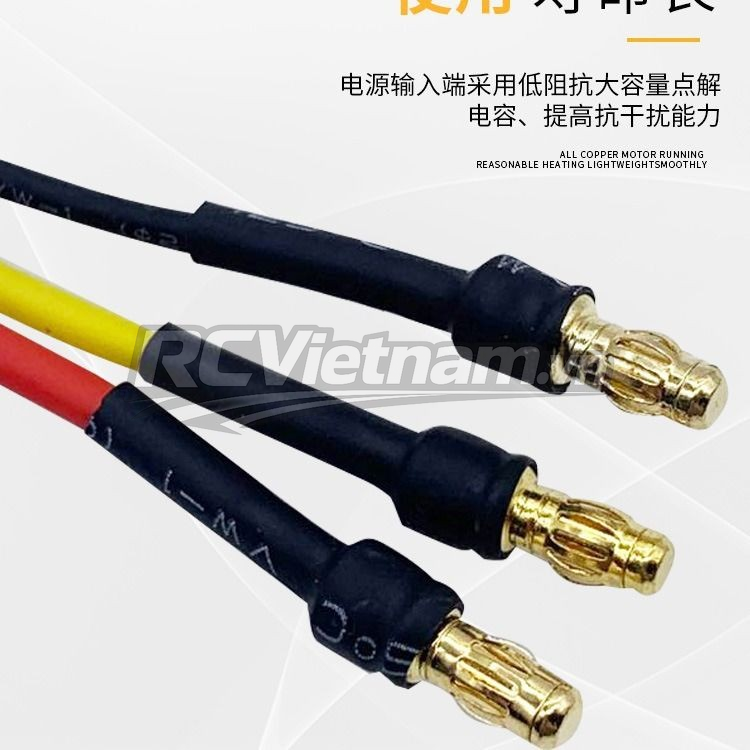 rcv_wm_1780556761965_979rltiv