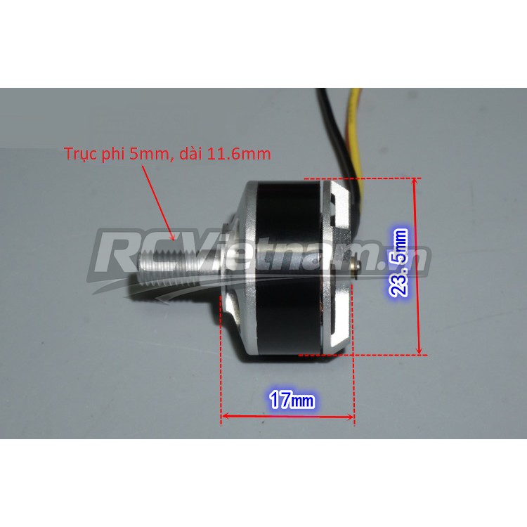 rcv_wm_1780557680760_hvdtoish