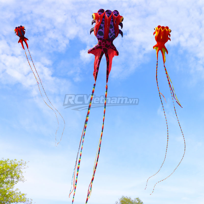 rcv_wm_1780651862021_9oeghs84