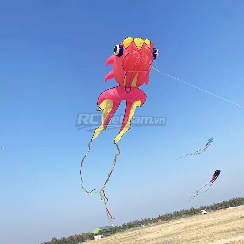 rcv_wm_1780651894849_nxma9mnv