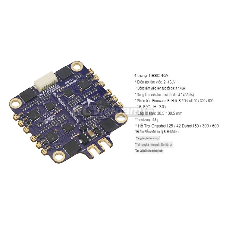 rcv_wm_1780751213499_zt8jpd7o