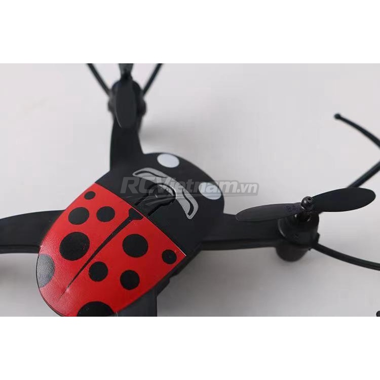 rcv_wm_1780754075786_n0vkke0v
