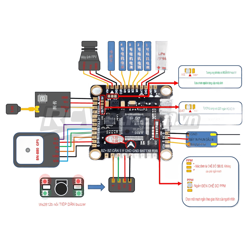 rcv_wm_1781077884763_wg2z2qzb