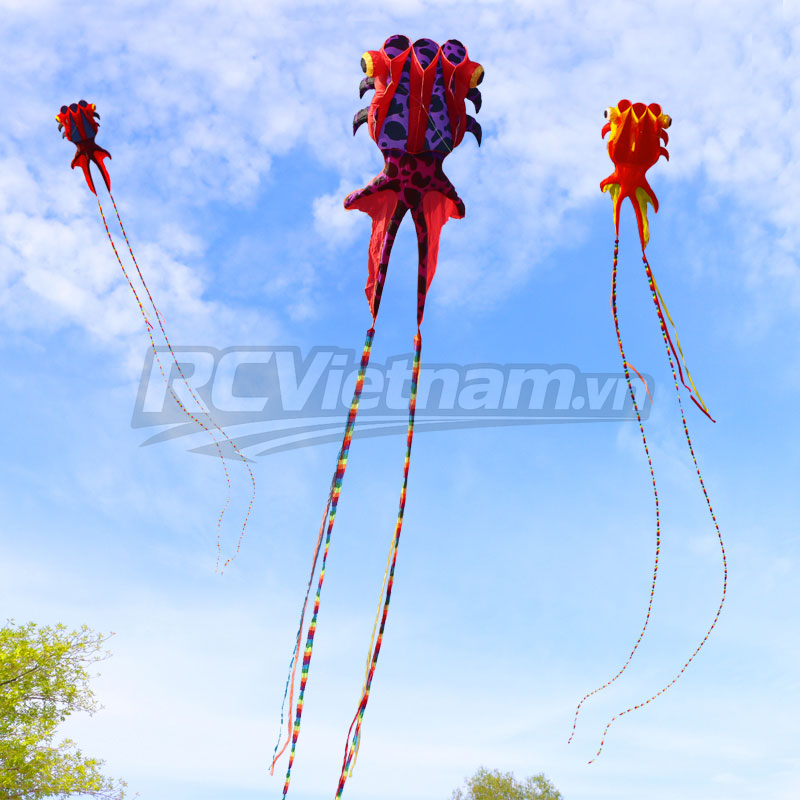 rcv_wm_1781081939594_wuorr5yd