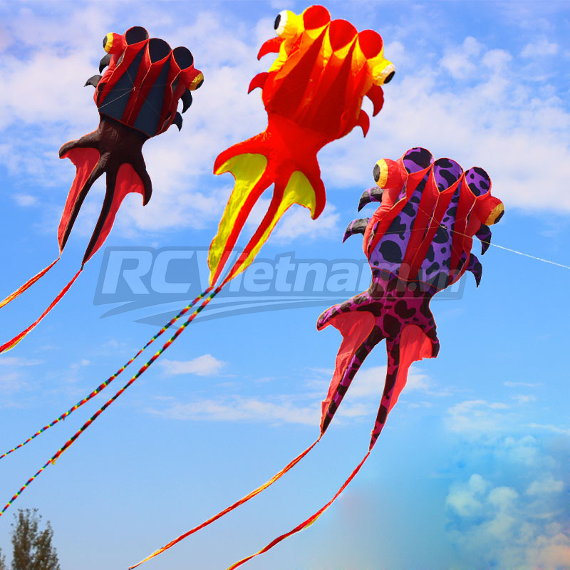 rcv_wm_1781081964469_er0qpvti