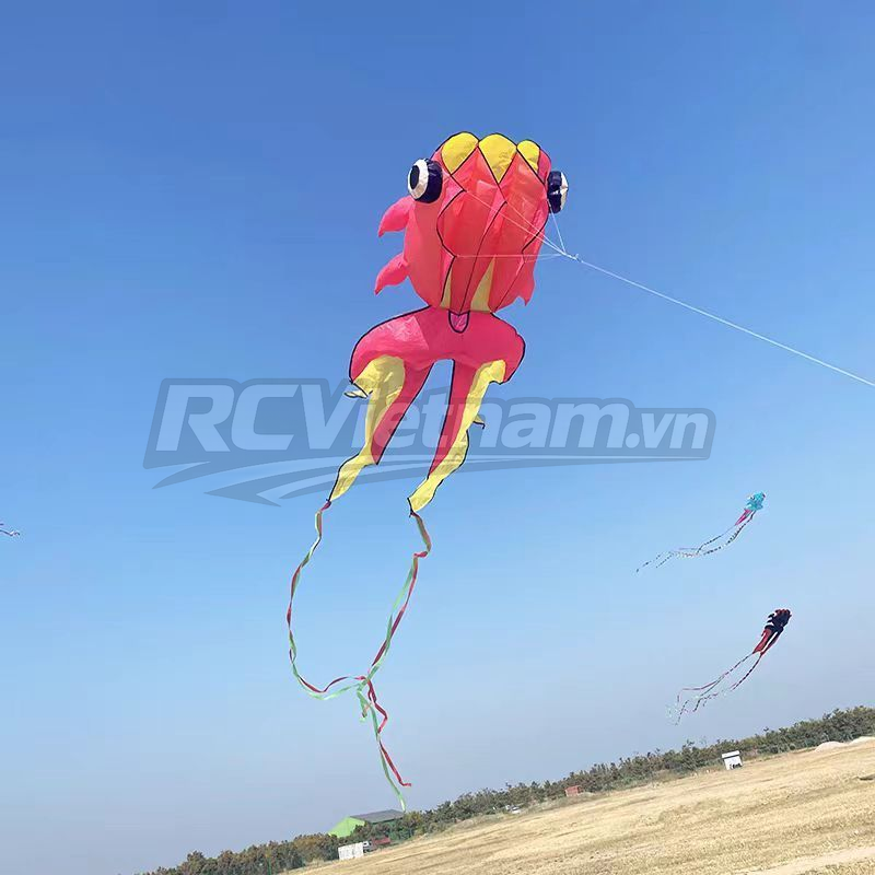rcv_wm_1781081998476_1hknm55k