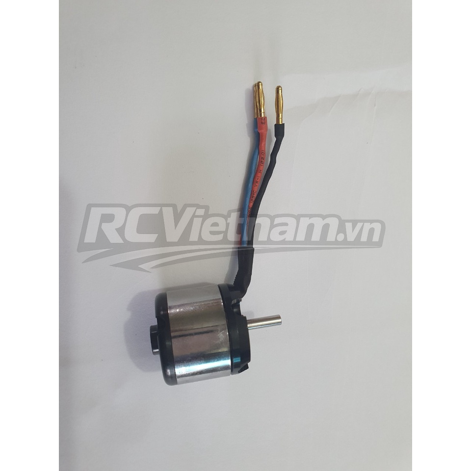 rcv_wm_1781083076662_19ebxws4