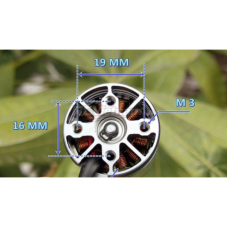rcv_wm_1780800319548_f9t7s1fn
